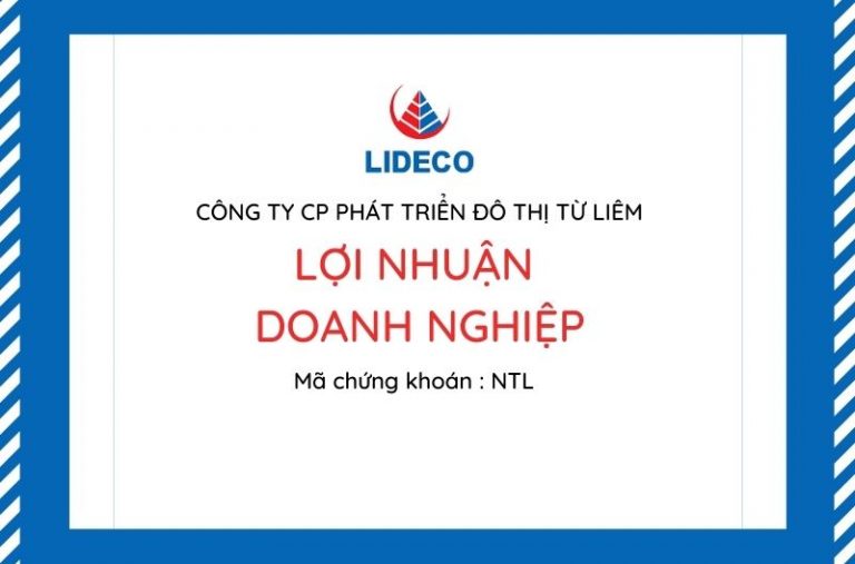 Bia Loi nhuan DN