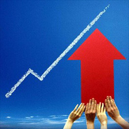 cac quy thuoc vfm mua manh sjs va ntl cac quy thuoc vfm mua manh sjs va ntl