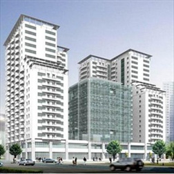 co phieu bds nam 2009 cu nuoc rut ngoan muc