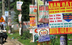 dat nen 15730267924391247105232 crop 15730268223691752263919