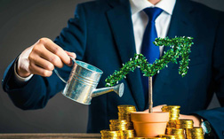 growing income 169 1556701264537661876050 crop 1556701273184825579233