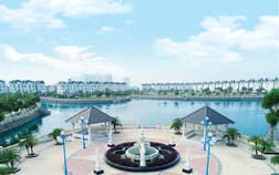 lideco 21 15773279684771057996440 crop 15773279794761165345863