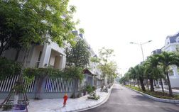 lidecofhtj 15795043579331057980372 crop 1579504364550189215614