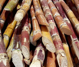 lss ntl giao dich co phieu cua cac quy thuoc vfm lss ntl giao dich co phieu cua cac quy thuoc vfm