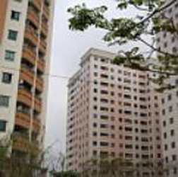 ntl loi nhuan quy iii dat 63 ty dong gap 3 lan 2 quy truoc ntl loi nhuan quy iii dat 63 ty dong gap 3 lan 2 quy truoc