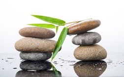 q 15470314874401572585581 crop 15479958805062124111895