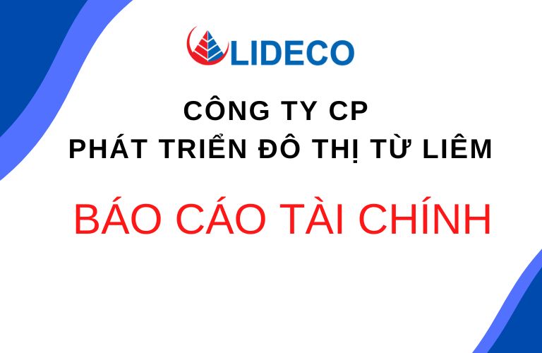 Ntl lideco bao cao tai chinh